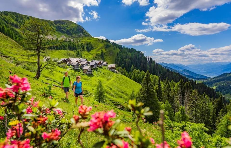 Luxury Chalet Mauthner Alm Kotschach-Mauthen Экстерьер фото