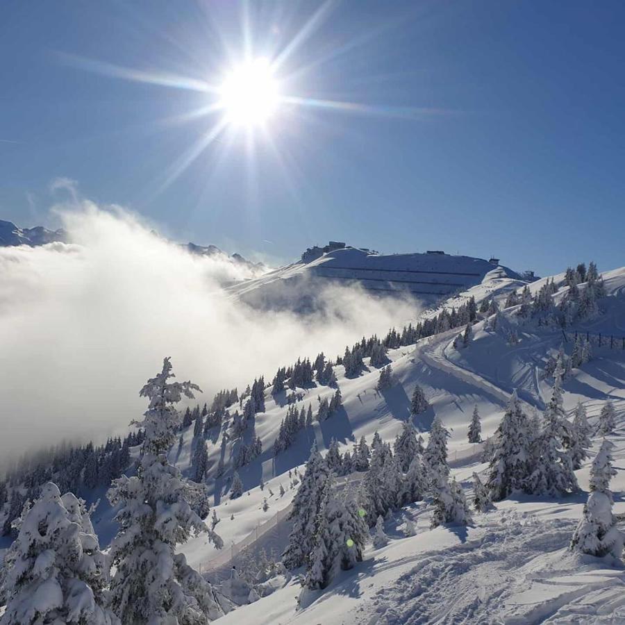 Luxury Chalet Mauthner Alm Kotschach-Mauthen Экстерьер фото